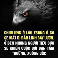 images?q=tbn:ANd9GcTwiAEt9iie94rlsW3QFF6tQRR62WACKtghYx9eiF2E8sxsFcQlHg1vlSAMUG BtowlluE&usqp=CAU