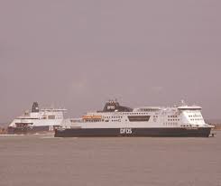 Image result for Gris 1995 Fleet