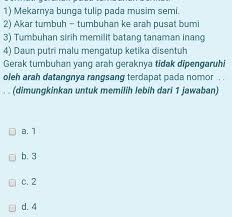 Banyaknya lukisan dan gambar bunga tulip menunjukan betapa populernya bunga ini di negara asalnya. Cermati Gerakan Pada Tumbuhan Berikut 1 Mekarnya Bunga Tulip Pada Musim Semi 2 Akar Tumbuh Brainly Co Id