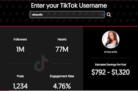 How Much Does Tiktok Pay For 1k Views