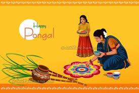 2019 Kaanum Pongal Date For Leander Texas United States Festival images, whatsapp mesages, gifs you can send your loved ones this year.