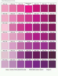 pantone fucsia pantone color chart pms color chart pms