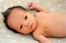 Colton Dean Breedlove