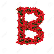 letter b from the red flowers isolated on white background stock photo picture and royalty free image image 7760573 letter b from the red flowers isolated on white background