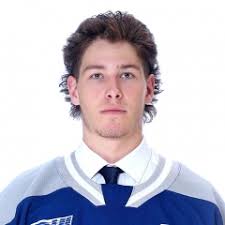 David Goyette Official OHL Profile and Stats