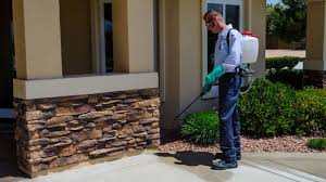 Guidelines To Find Out The Best Residential Pest Control Services Pest Control Services Termite Pest Control Pest Control