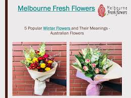 Our range is perfect for all occasions. Ppt Send Winter Flowers To Australia Melbourne Fresh Flowers Powerpoint Presentation Id 7730397