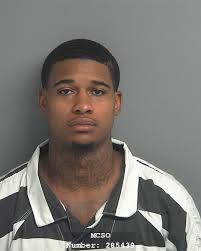 WARNER, ADRIEN ALLEN