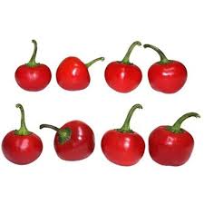 Check spelling or type a new query. Cherry Hot Pepper Seeds Pepper Joe S