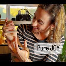 Scales and Tails Encounters