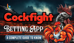 How to Develop Cockfight Betting App: Ultimate Guide 2025