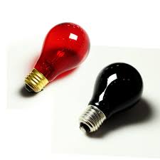 Pet Heating Light Bulb E27 40w 60w Red Black Mini Infrared Ceramic Emitter Heat Light Lamp Bulb Terrarium Reptile Pet Brooder Lamp Light Lamp Bulb Light Bulb