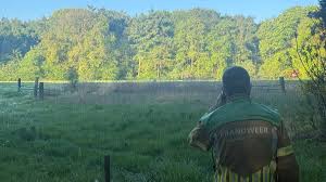 Duizenden vierkante meters natuur in vlammen op in Heldense Bossen