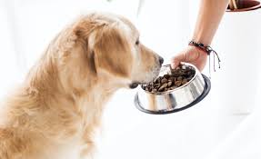 A high prairie canine formula with. 5 Best Budget Friendly Dog Foods Affordable Nutrition For Your Canine