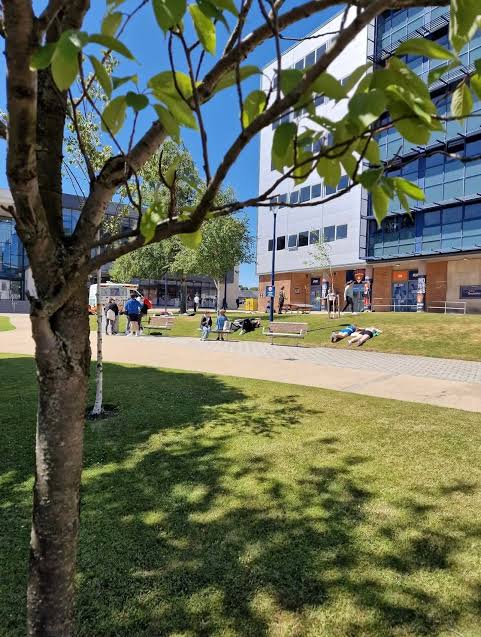 Sunderland University - Obrien Global Education