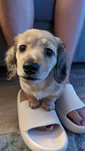 Hi everyone I wanted to update you