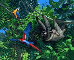 Anne Sharp Animals In Their Habitats On Behance Animals Animal Illustration Animal Art