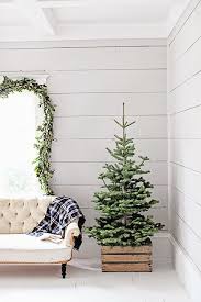 I'm going for minimalist christmas decorations in the house this year, think green foliage, pine cones, red berries and lots of candles. Minimalist Christmas Decoration