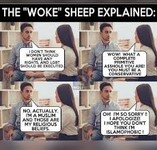 Faima bakar monday 20 jan 2020 2:09 pm. Im Pertinencias The Woke Sheep Explained