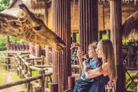 Desafios conceituais e principios metodologicos. Os Zoologicos Diferentes Da Espanha Meus Animais