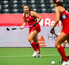 Image result for Ochna hackarsii