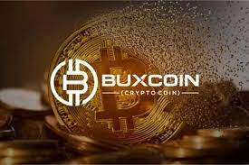 Cryptocurrency Crypto Cyrrency Bitcoin Litecoin Ripple Dogecoin Peercoin Blockchain Block Chain Currencies Omni Smartcash E Bitcoin Bitcoin Logo Cryptocurrency