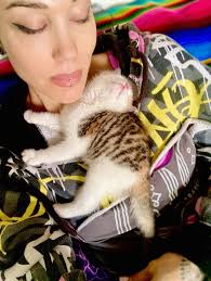 Are there vets in Arizona that take payment plans or grants to help with  veterinary bills for a dog with a respiratory issue?