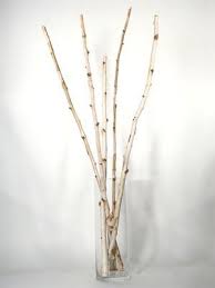 Ashbee Design Simply A Birch Stick Or Sticks Birch Tree Decor Branch Decor Birch Wood Decor