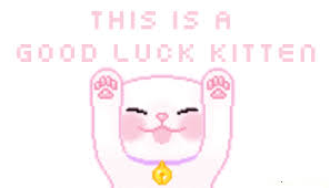 Share the best gifs now >>> Kittycat Gifs Page 3 Wifflegif