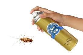 Find a terminix® location near you and let the experts protect your home today. Dan S Best Of The Best 2019 Winners Best South Fork Pest Control