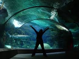 Aquarium Museum Liege Outremeuse Omaha Nebraska Nebraska Old Western Movies