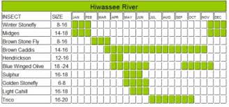 Hiwassee River Fly Fishing