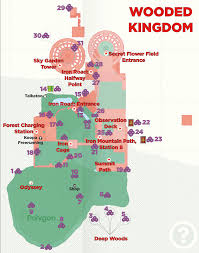 Super Mario Odyssey Guide Wooded Kingdom All Purple Coin Locations Polygon
