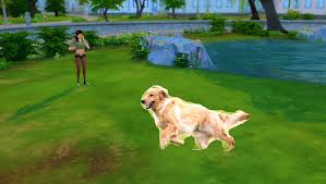 Your vip membership goes towards paying our artists & improving the website. Sims 4 Pets Possible Leak Thesims