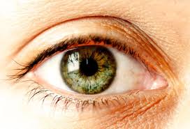 Grüne augen sind nicht so häufig wie braune augen oder sogar blaue augen. Diese Lidschatten Passen Zu Deiner Augenfarbe