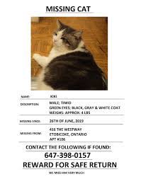 We are completely not for profit, but we will/do promote safety. Missing Cat Toronto