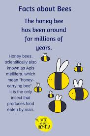 Birds And The Bees Lyrics Idk Fun Facts About Bee Bee Facts Fun Facts About Bees Honey Bee Garden