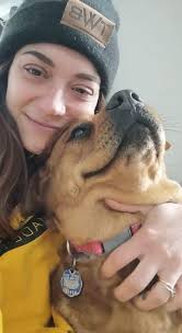 Looking for a good home for our sweet girl, Pacha. Sadly not able to have  her where we are renting and my dad was helping with her for me but he  passed