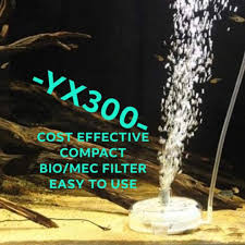 3 betta's and alot of guppy and fry 👍. Compact Filter Qanvee Yx 300 Yx300 Air Pump Power For Fish Planted Shrimp Fry Guppy Betta Tank Filtration Sponge Biological Mechanical Pet Supplies For Fish Fish Tank Accessories On Carousell