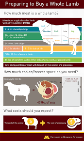 Beef cuts chart all bbq lovers should know! Buying Animals For Meat Processing Umn Extension