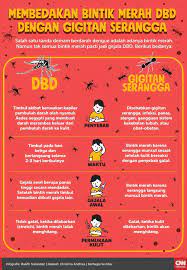 Temukan obatnya dan lakukan pembersihan agar tidak tergigit lagi. Infografis Beda Bintik Merah Dbd Dengan Gigitan Serangga