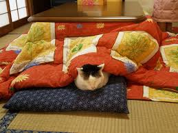 Never Leave Your Bed Again With This Awesome Japanese Invention Japanese Table Japanese Inventions Kotatsu Table