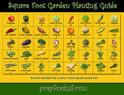 Build A Garden For Science Class Hip Homeschool Moms