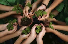 Aspects Of The Domestic Garden Brooksby Melton College