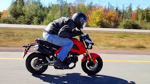Maybe you would like to learn more about one of these? 7 Image 2020 Honda Grom Price Honda Grom Honda New Honda