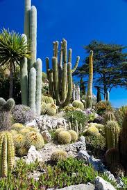 Stunning Desert Garden Ideas For Home Yard 65 Rockindeco Rock Garden Landscaping Cacti And Succulents Desert Landscaping