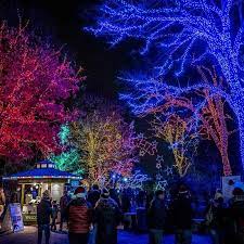 10 Dazzling Holiday Light Displays Events In Washington Dc Washington Dc Holiday Lights Display Holiday Lights Light Display