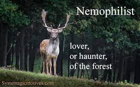 Check spelling or type a new query. Nemophilist