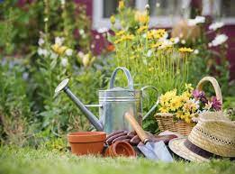 Ihr gartenberater erklärt ihnen, was es im september im garten zu tun gibt. Im September Immergrune Pflanzen Umpflanzen Garten News Garten