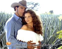 Rodrigo Y Gaviota Destilando Amor 2007 La Historia De Jesus Angelica Rivera Actrices